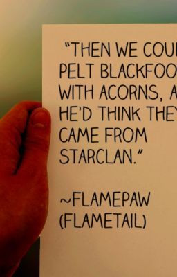 Warrior Cats Quotes Funny