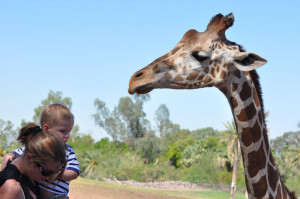 Cute Real Giraffe Sayings Zach - didn't like giraffe up