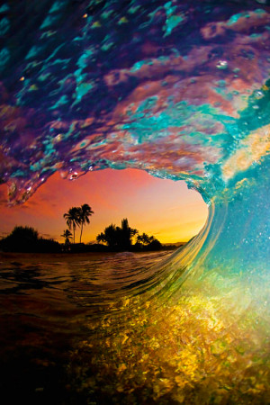 summer surf water beach ocean sea wave sunset surfing palm tree ...