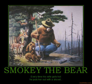 smokey the bear nailer smokey funny demotivational poster 1284073444 ...