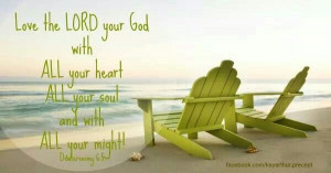 Pinned by Diane Zeien