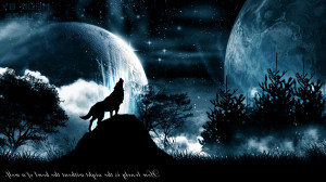 Blue And Black Wolf