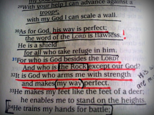 Psalms 18:30-32 God is my Rock.