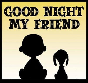 Good Night My Friend