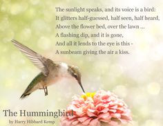 ... Site has info on plants for hummingbirds and hummingbird gardens. More