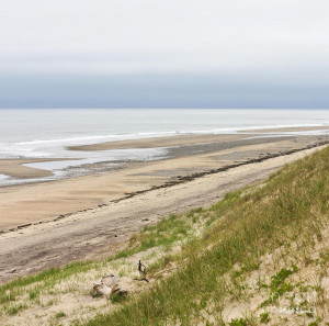 Cape Cod National Seashore