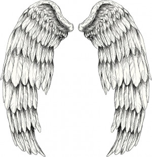 Angel Wings Tattoos Design...