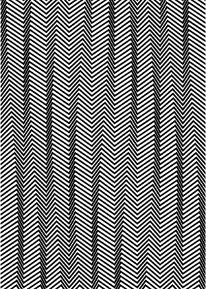 gif wavy mathematica waterfall plot Bridget Riley