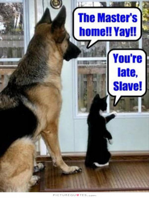Dog Quotes Cat Quotes Pet Quotes Funny Dog Quotes Slave Quotes Master ...