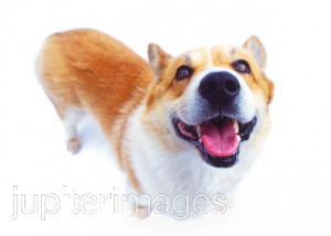 Funny Quotes Contact Dmca...