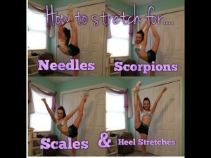 Cheer Fit, Cheer 3, Cheer Scale, Scorpion Cheer Stretch, Cheerleading ...