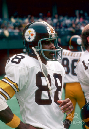 lynn swann photos