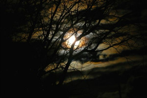 The lies that Satan tells Christians are pleasing to the ear, they are ...