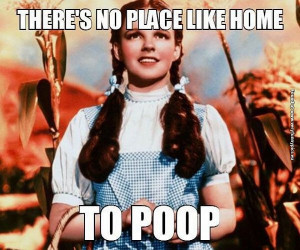 funny pictures there is no place like home to poop
