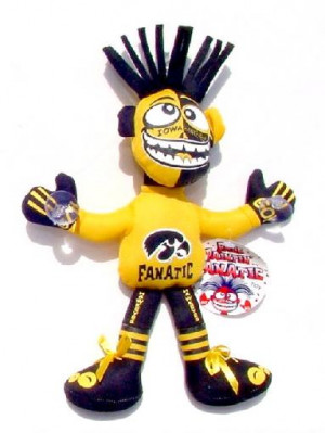 ... ncaa college football iowa university of iowa hawkeyes iowa hawkeyes