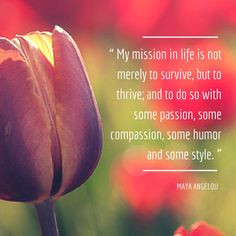 MayaAngelou #quote: “My mission in #life is not merely to #survive ...