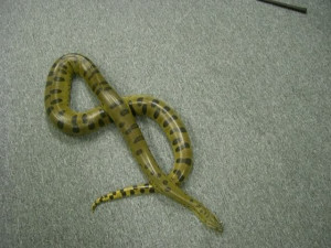 Funny Quotes Contact Dmca...