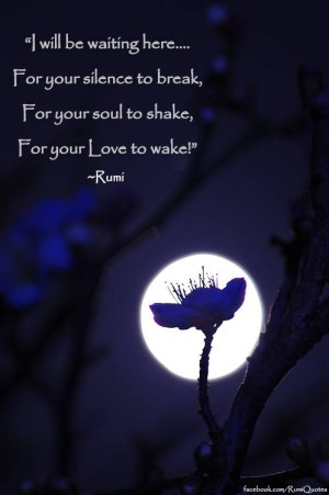 Rumi Silence Soul Love
