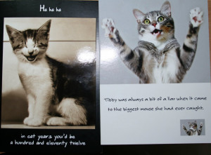 By the way, here’s some more funny cat-cards that daddycat got late ...
