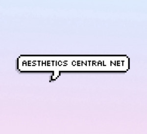 aesthetics central network