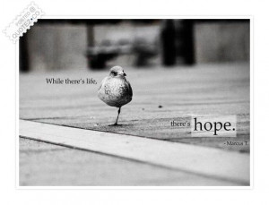 hope pictures and quotes hope motivational quote quotez co love birds ...