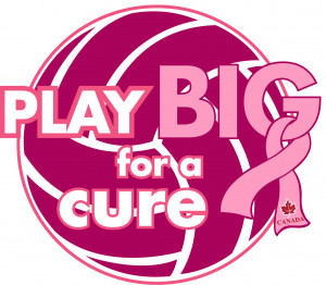 It’s BIG and it’s PINK! 4th Annual BIG PINK CHARITY VOLLEYBALL ...