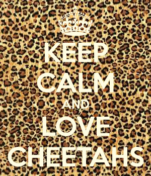 Cheetah Quotes. QuotesGram