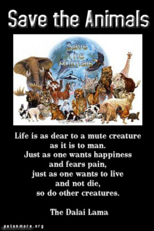 ... animal, inspiring quotes for animal lovers, petsnmore.org, save