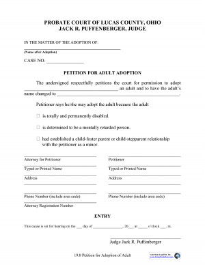 Stepparent Adoption Petition Sample