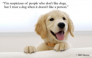 ... dog-doesnt-like-a-person-bill-murray-daily-quotes-sayings-pictures.png