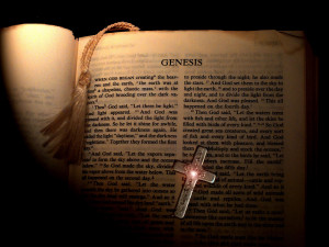 , Curse, Daily Dose, Fall of Man, Genesis 5 vs 29, God, Holy Book ...