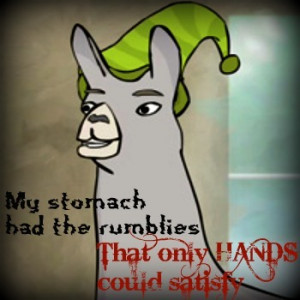 Carl: the llama with a hat