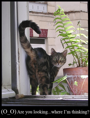 Omg You Look Stunning This Monkey Was Minding His Own