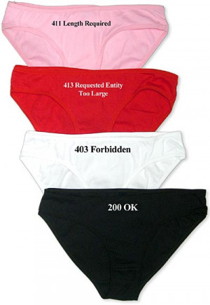 funny panties quotes on october 12 2010 04 58 29 pm quote