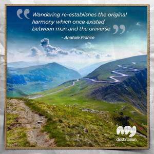 Wandering... #travel #quotes 