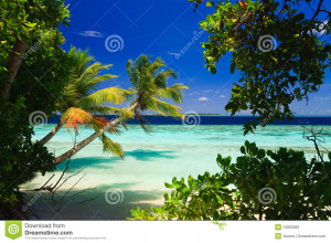 Tropical Paradise Maldives