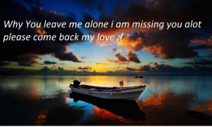 Why you leave me alone i am missing you alot please come back my love ...