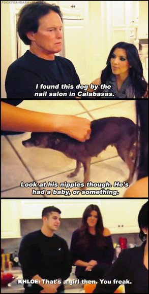 Khloe schools Bruce again, this time about dog anatomy