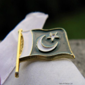 14 August 2015 Pakistan Flag fb
