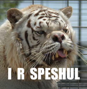 ... forum/members/murley-albums-random-shit-picture6538-retarded-tiger.jpg
