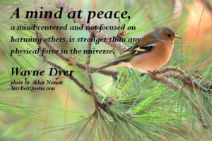 Peace of Mind quotes - A mind at peace, a mind centered and not ...
