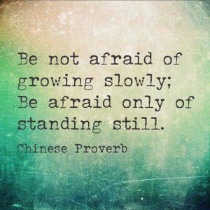 be not afraid of growing slowly; be afraid only of standing still