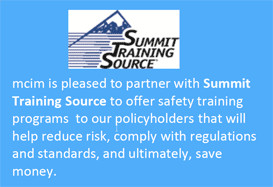 Loss Prevention - Streaming Safety Videos