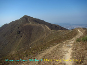 Hong Kong Nazca Lines