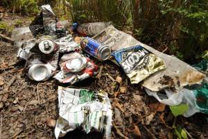 Littering Litter Clean Big...
