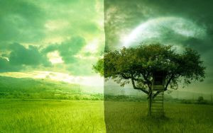 Desktop-wallpaper-29 by Tondo007