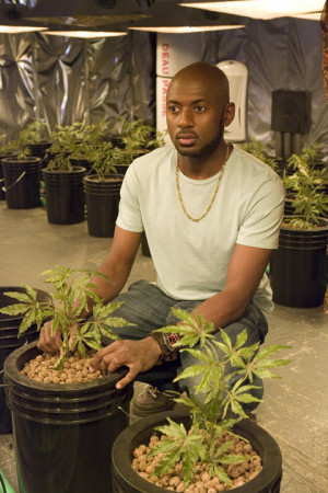 Romany-Malco-Conrad-Shepard-stars-in-Lionsgate-Home-Entertainments ...