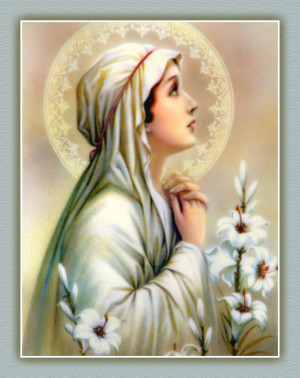 Funny Quotes Contact Dmca...