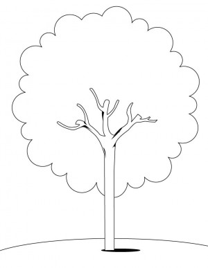 Family Tree Clip Art Color Page Cool Images On Save Trees In Hindi ...