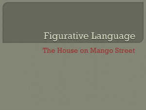 Mango Street Language